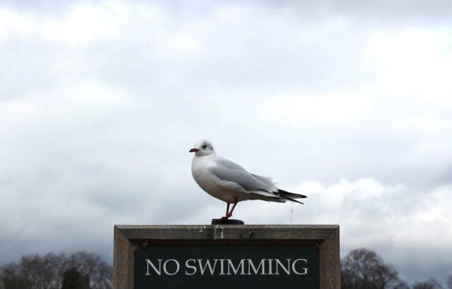 17015954_10212798077413010_9175469415913787905_o