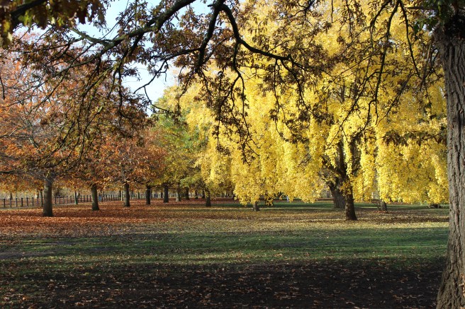 City guide - Un weekend food à Londres