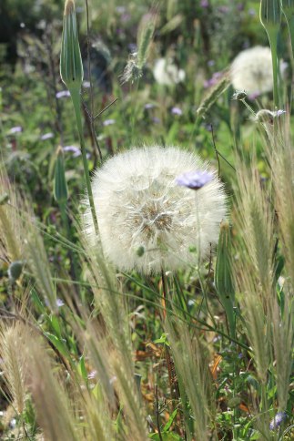 Les Pouilles - Sud de l'Italie photography