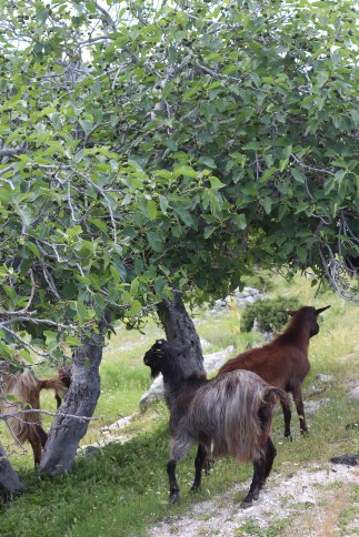 Les Pouilles - Sud de l'Italie photography