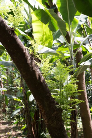 Ville d'Arusha en Tanzanie - Afrique