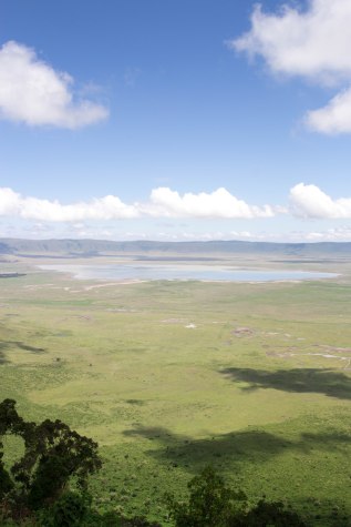 Serengeti National Park, Ngorongoro conservation area - Tanzania