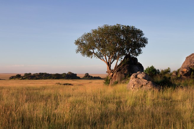 City guide - Serengeti National Park, Tanzania