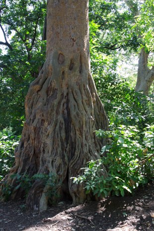 City guide - Lake Manyara National Park, Tanzania