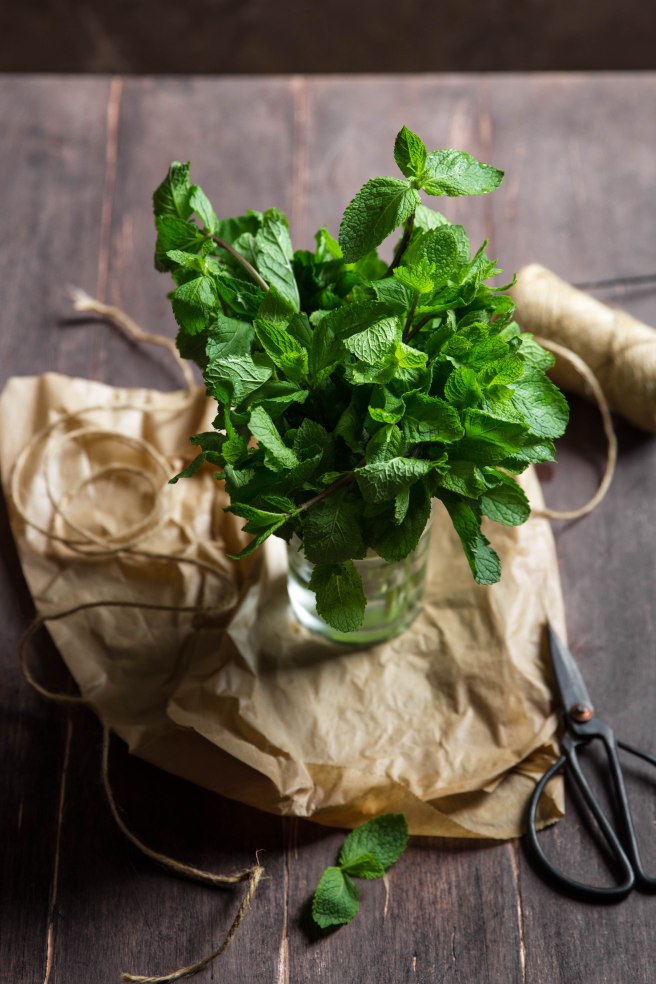 Recycler ses herbes aromatiques - Sécher de la menthe à infuser - photography