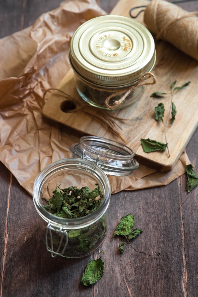 Recycler ses herbes aromatiques - Sécher de la menthe à infuser - photography