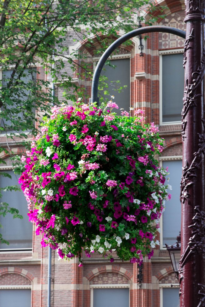 City guide - Un weekend pluvieux à Amsterdam photography