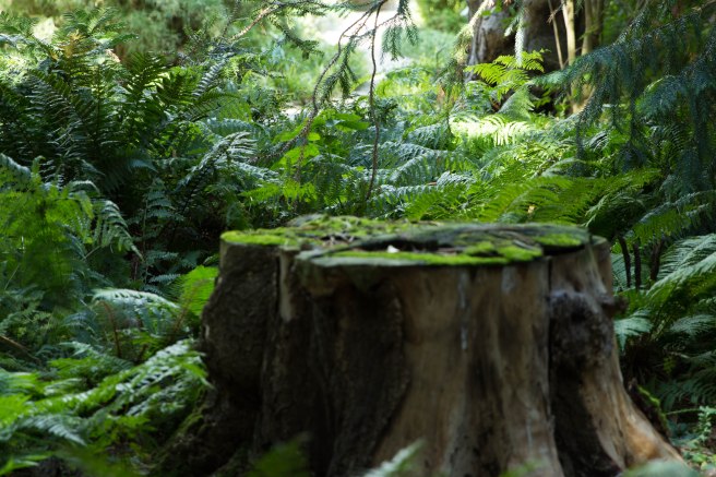 City guide - Un weekend pluvieux à Amsterdam photography