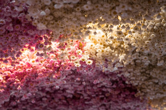 City guide - Un weekend pluvieux à Amsterdam photography