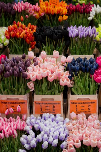 City guide - Un weekend pluvieux à Amsterdam photography