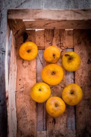 Compote de pommes et café pour le petit déjeuner - photography