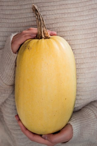 Courge spaghetti farcie à la ricotta, citron et noix de pécan - photography