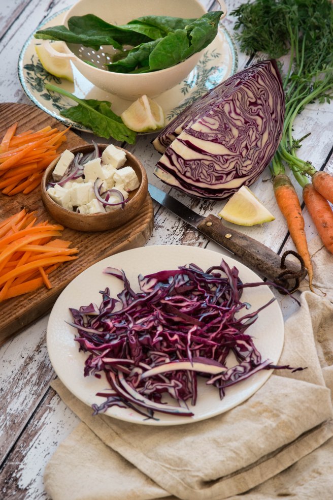 Rouleaux de printemps végétariens au chou rouge - spring rolls photography 