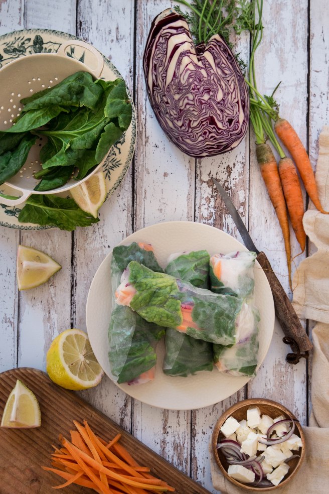 Rouleaux de printemps végétariens au chou rouge - spring rolls photography