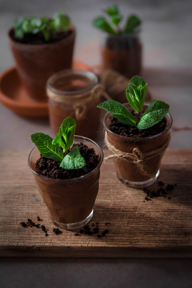 Mousse au chocolat trompe l’œil comme une plante en jardinière (spécial Pâques) - photography