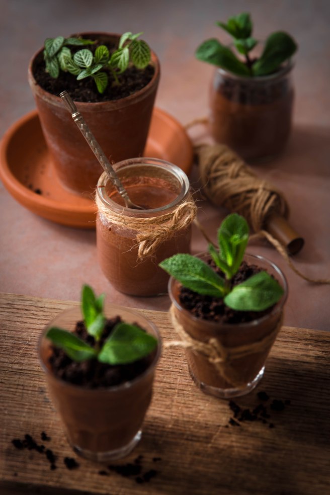 Mousse au chocolat trompe l’œil comme une plante en jardinière (spécial Pâques) - photography