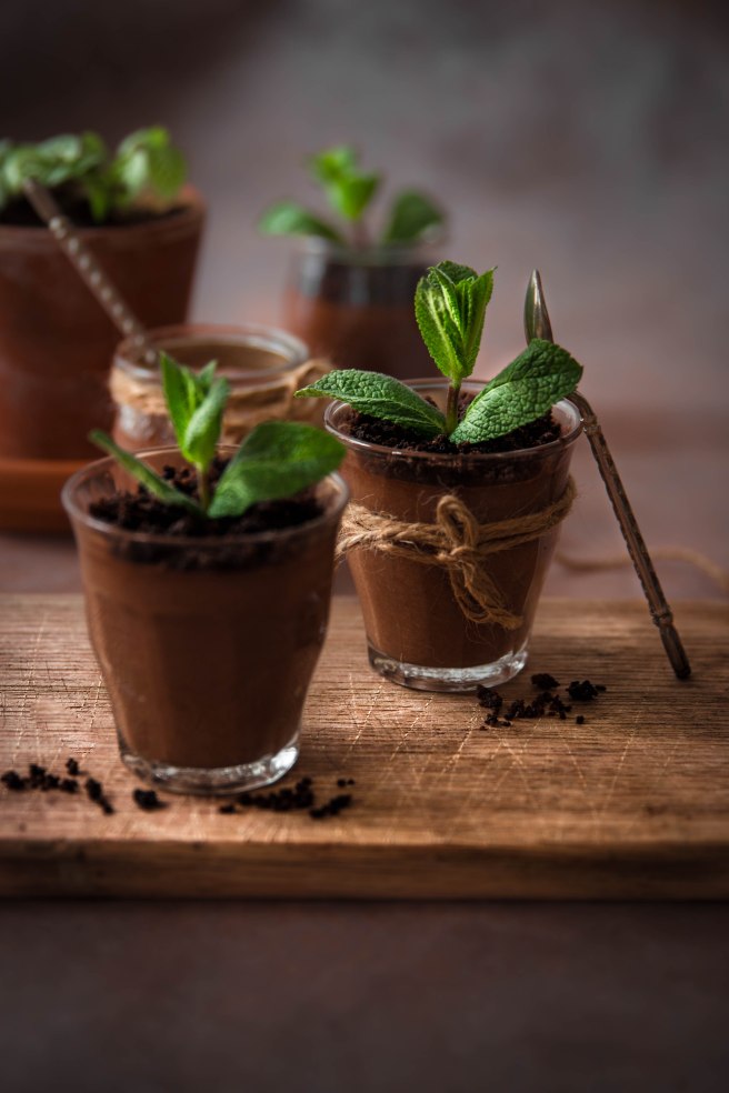 Mousse au chocolat Mousse au chocolat trompe l’œil comme une plante en jardinière (spécial Pâques) - photographytrompe l’œil comme une plante - photography
