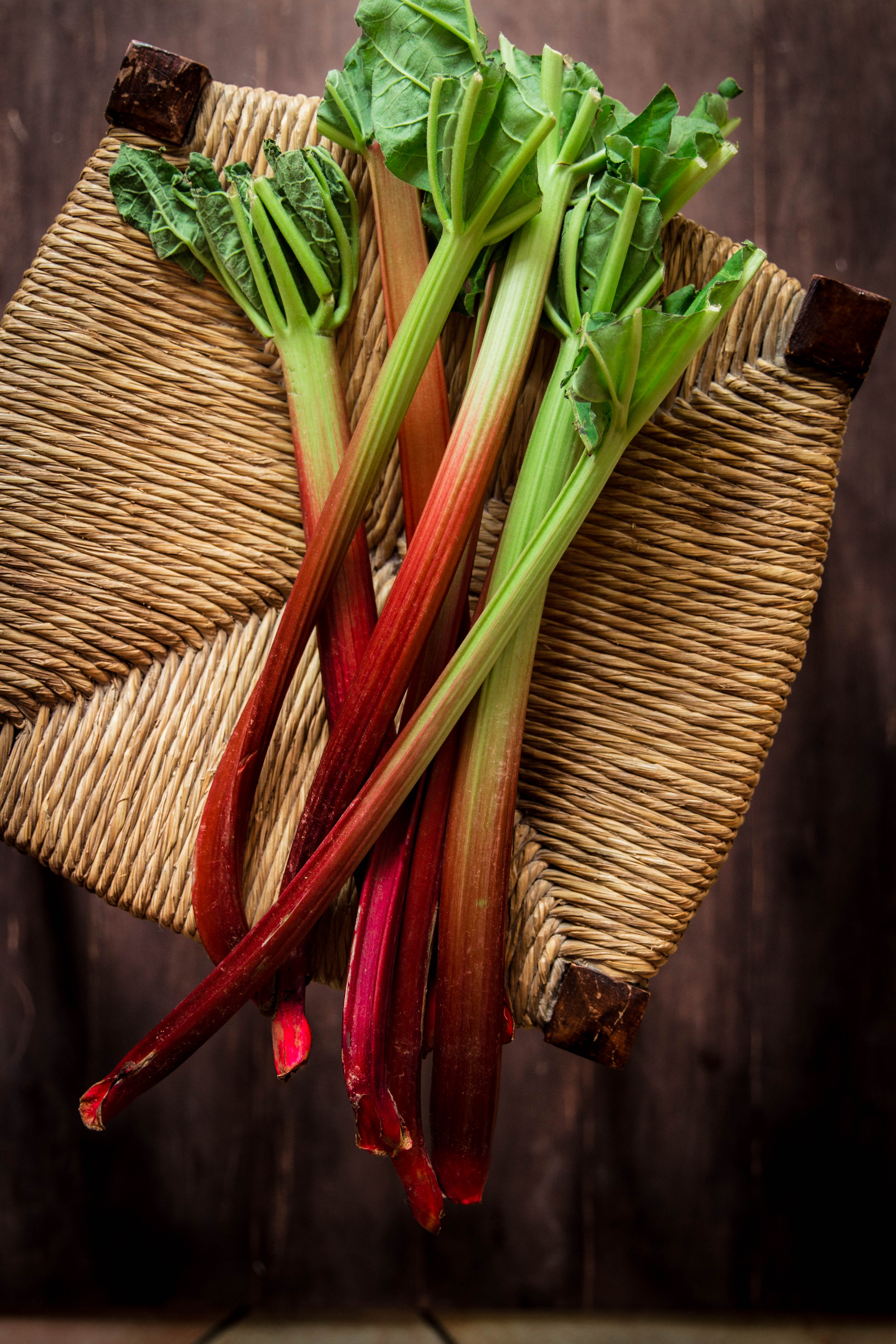 Compote maison de fraises et rhubarbe - photography