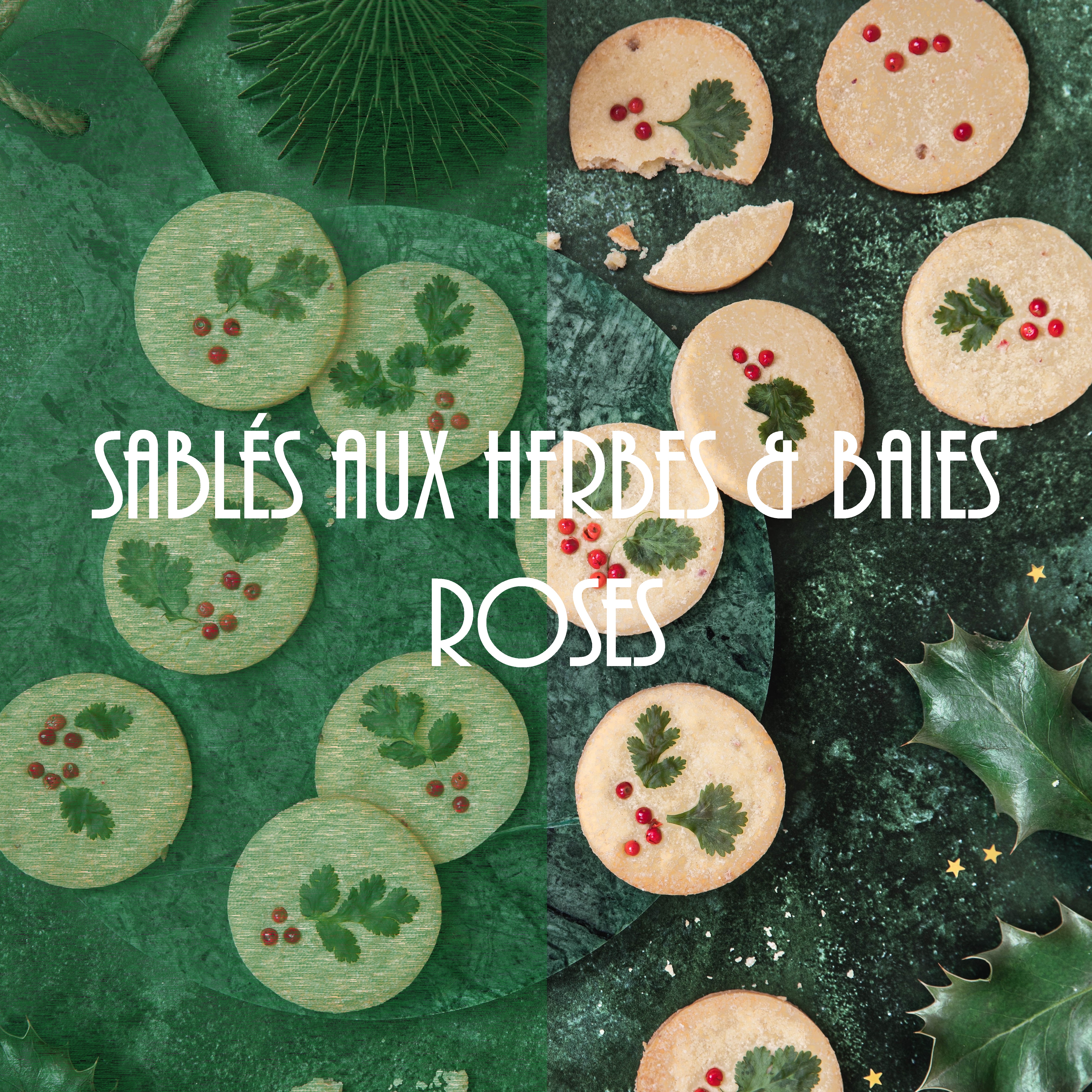 Sablés salés apéritif aux herbes et baies rouges - photography