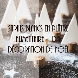 Sapins blancs en plâtre alimentaire - DIY décoration de Noël