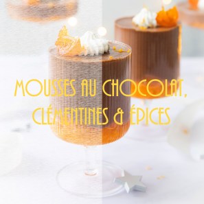 Mousses au chocolat, clémentines et épices - photography