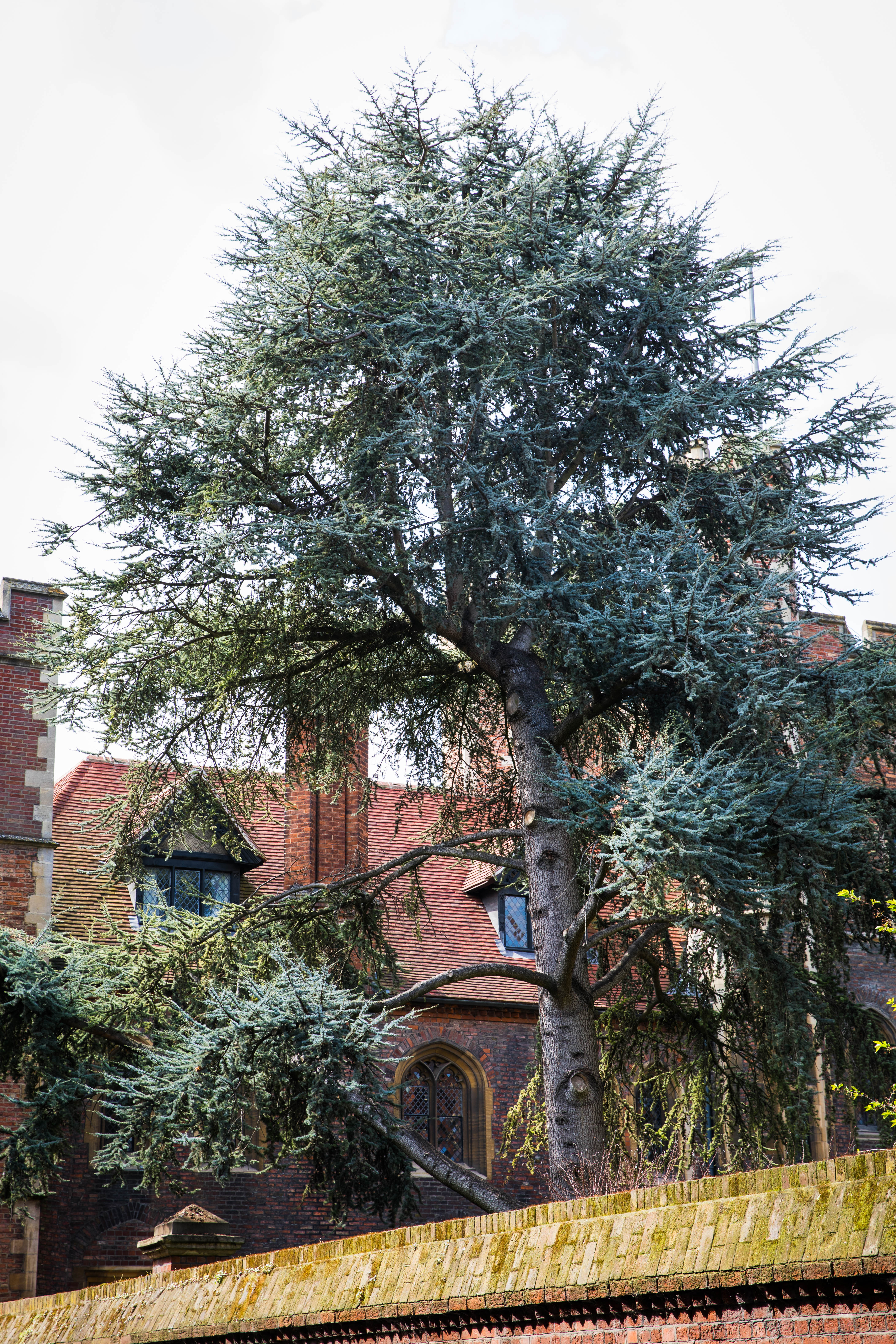 City guide - Le meilleur guide pour visiter Cambridge - photography